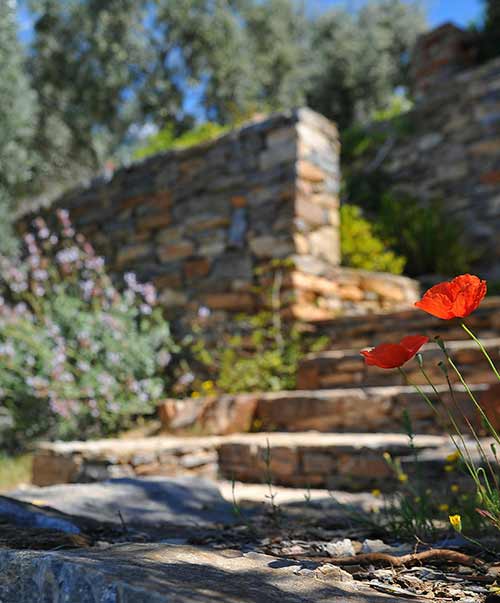 Landscape Maintenance